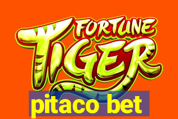 pitaco bet